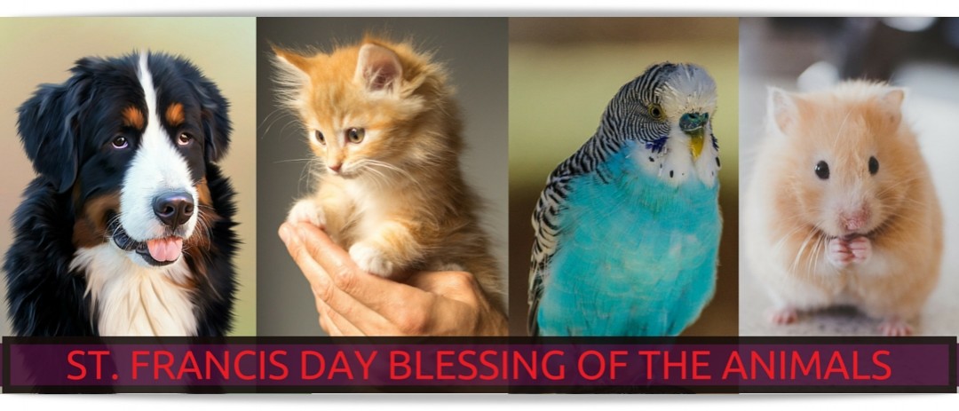 St. Francis Pet Blessings | The Episcopal Diocese of Louisiana